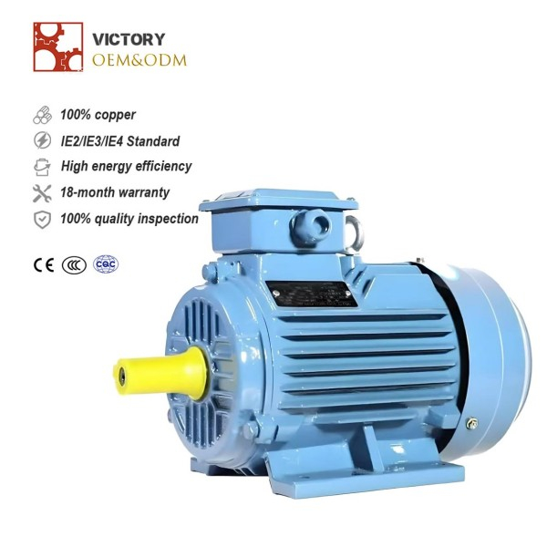 3 HP / 2.2 KW 3 Phase Motor