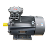 Explosion Proof Electric Motor IE4