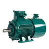 Variable Frequency Explosion-Proof Motor