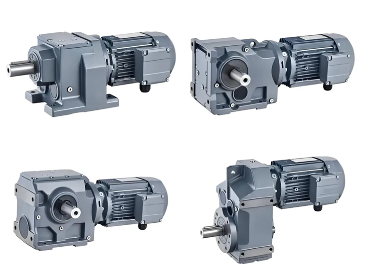 gearmotor-1.jpg